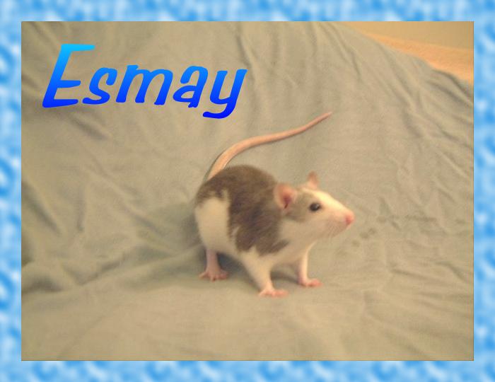 Click here to see photos and read more about Esmay !